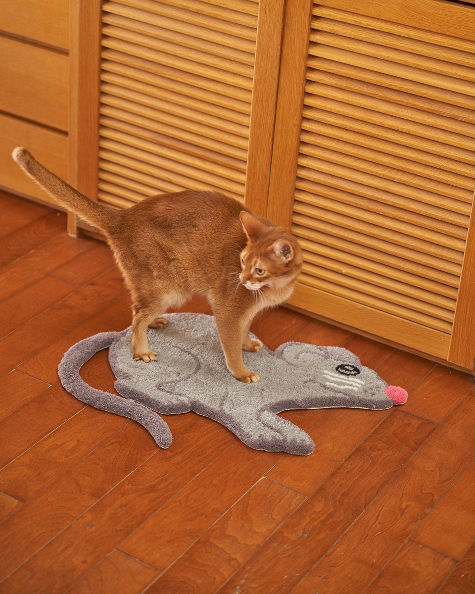 A7_SW-004 Shiomi Wada × MIYOSHIRUG 