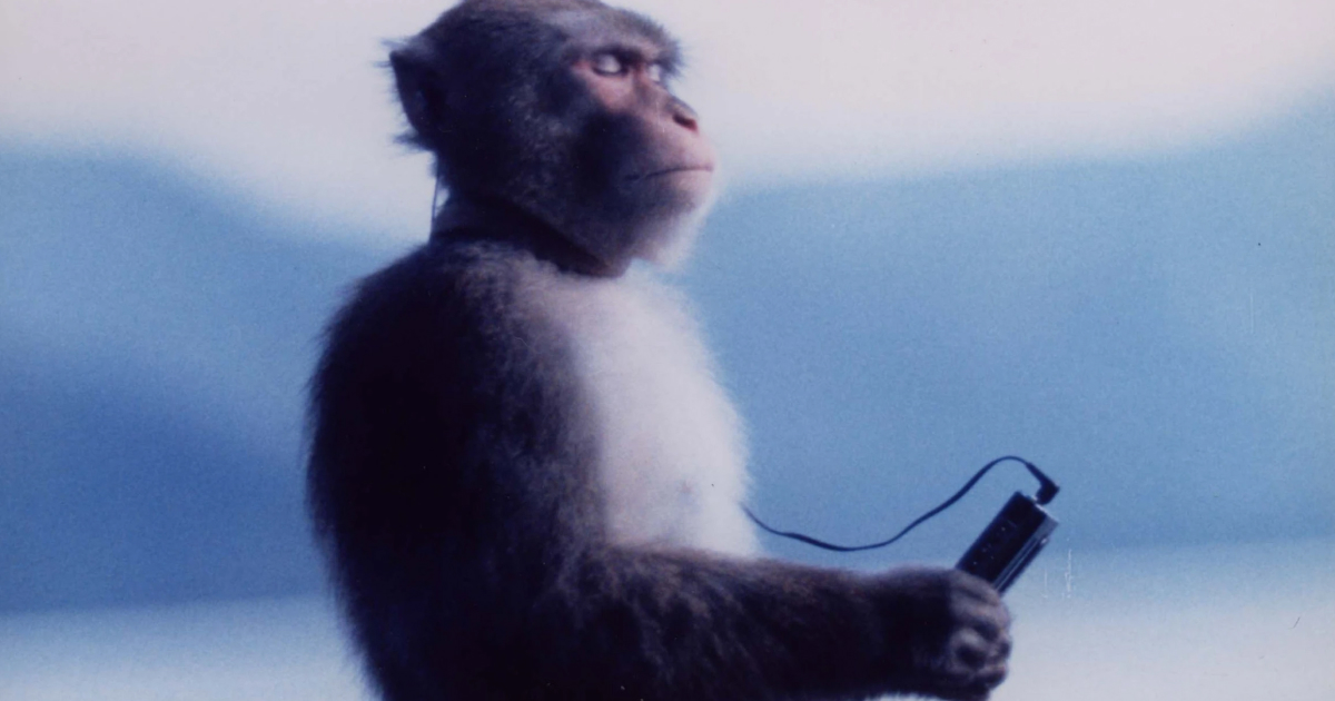 周防猿まわしの会