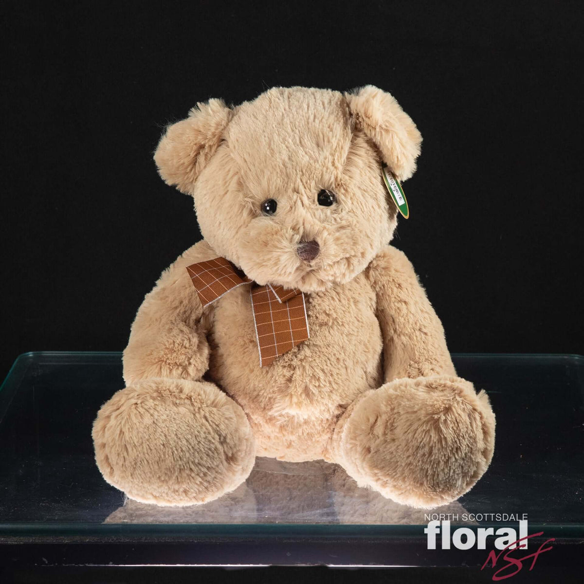 Bensen the Teddy Bear - Perfect Gift from Scottsdale Florist