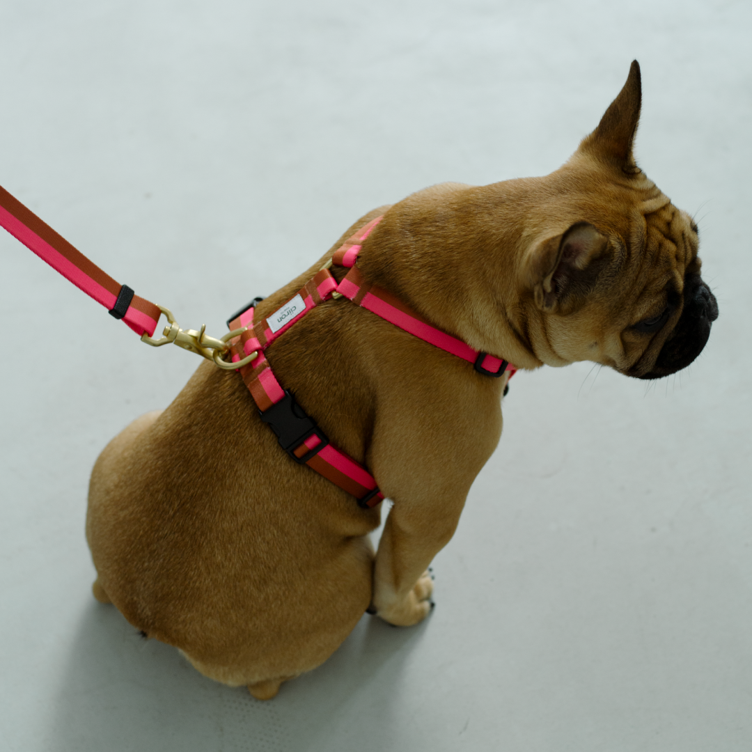 ハーネス Plum ー復刻販売ー – ciiron tokyo