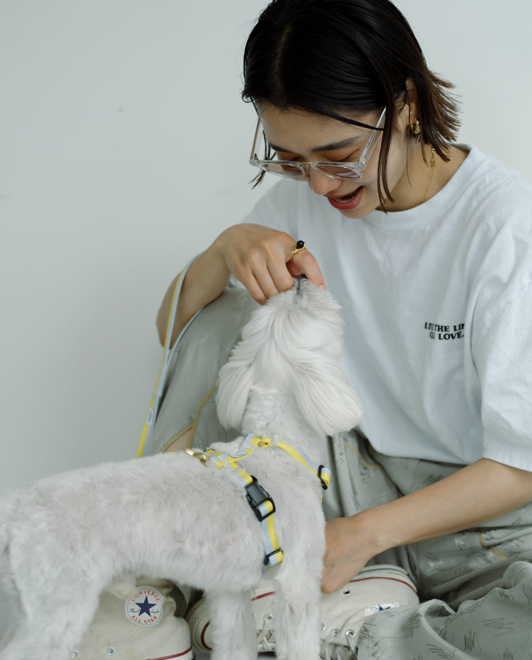 ハーネス Lemon 再入荷！ – ciiron tokyo