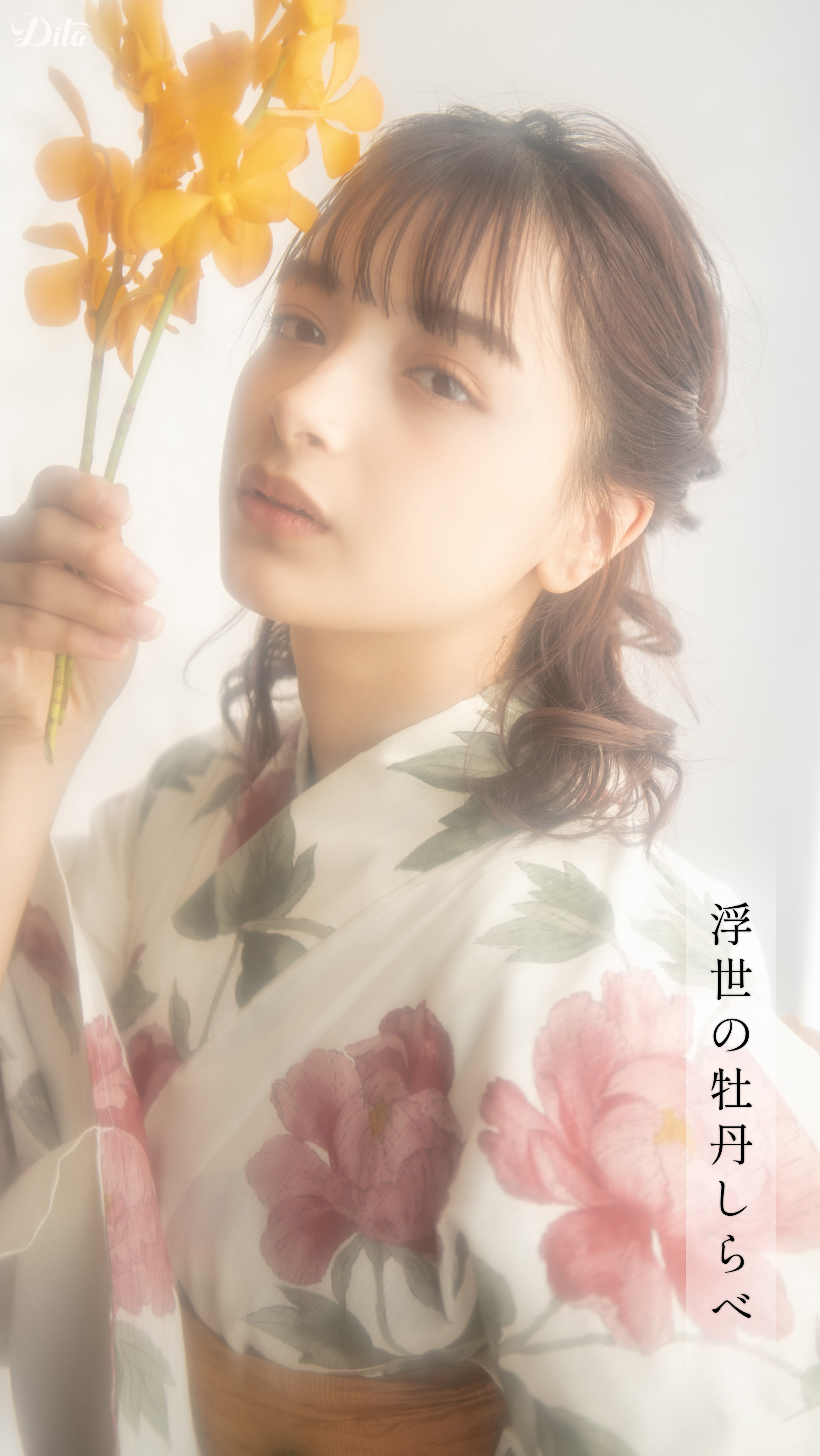 2023年 Dita♥ 先行予約 浴衣カタログ