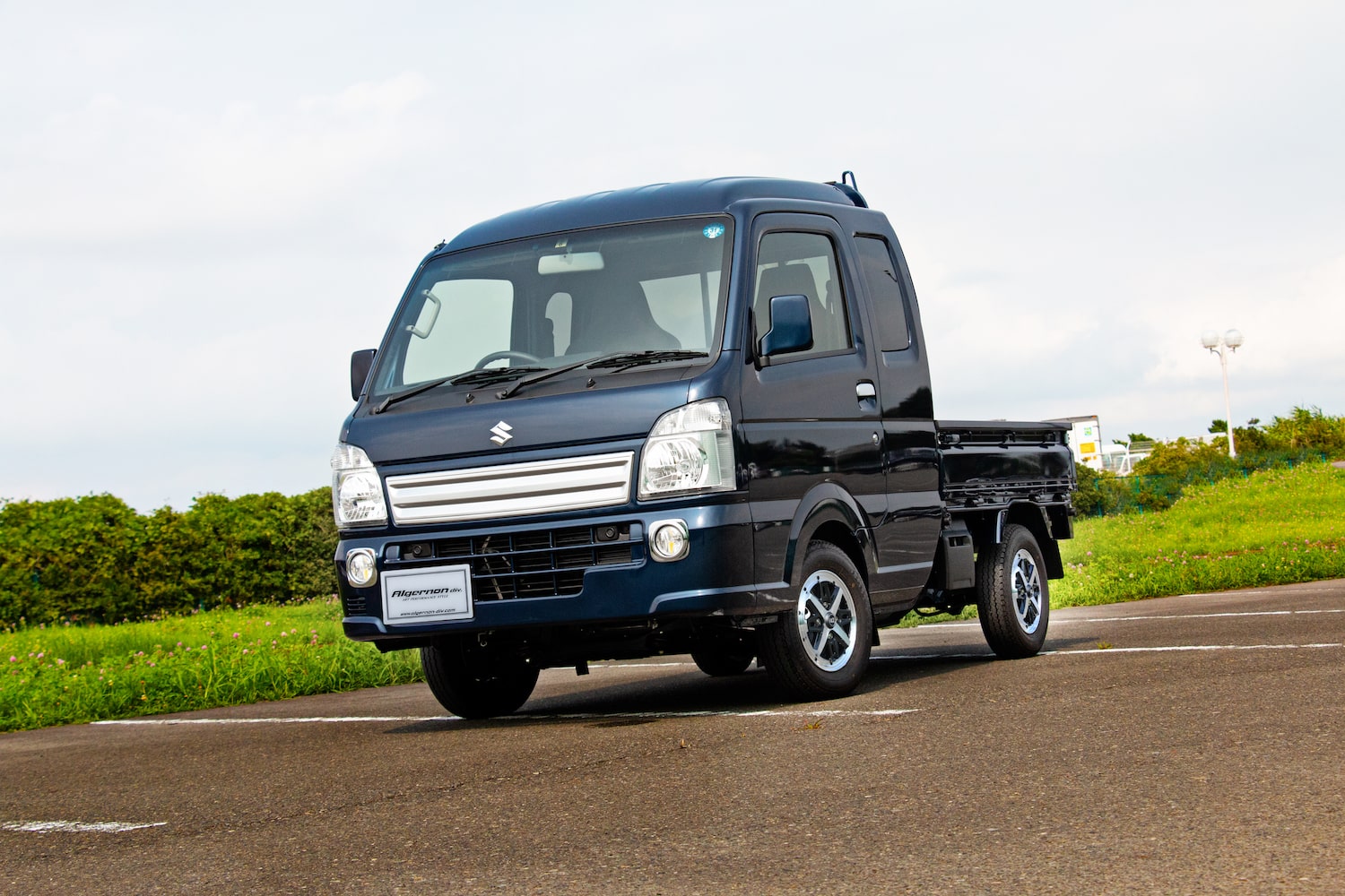 DOALL｜ALGERNON FENICE RX