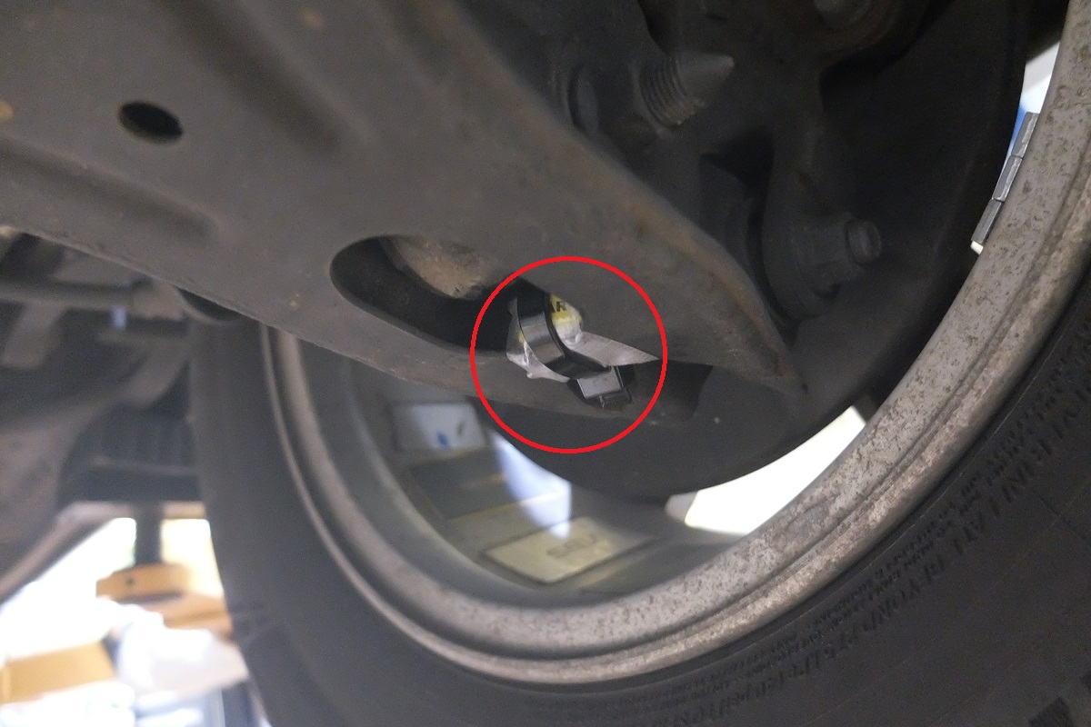 SEV プレミアム ボディーバランサー セッティングが奥深い・・・ | SEV