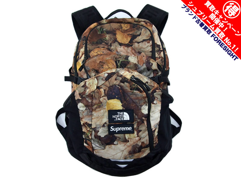 Supreme×THE NORTH FACE 'Leaves Pocono Backpack'バックパック ノース