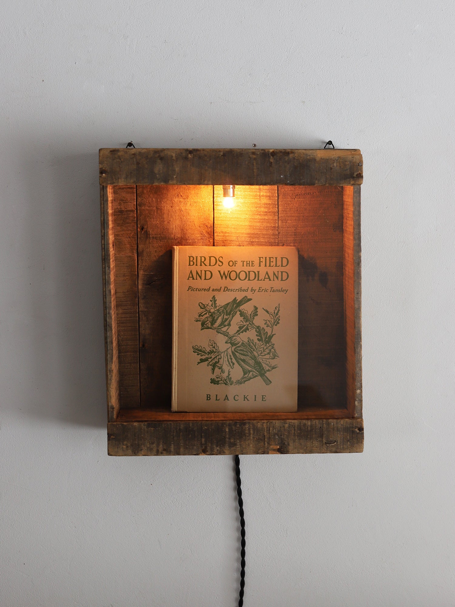 GLASSCASE WITH LAMP – FIVE FROM THE GROUND