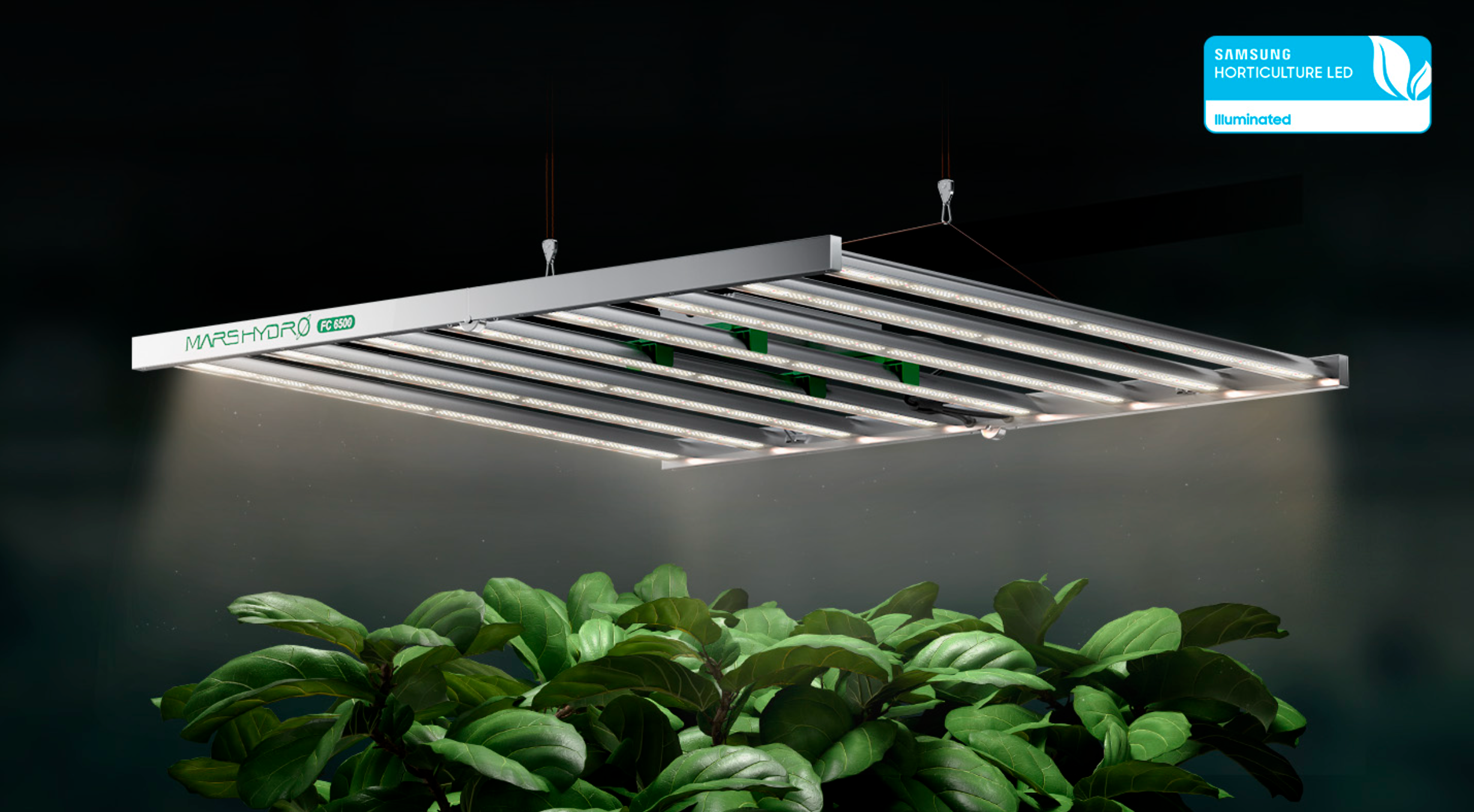 旧型MARS HYDRO FC-6500植物育成グロウライト 旧型MARS HYDRO FC-6500