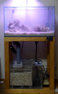 60cmオーバーフロー海水水槽スポットメンテナンス/熱帯魚レンタルN＆A