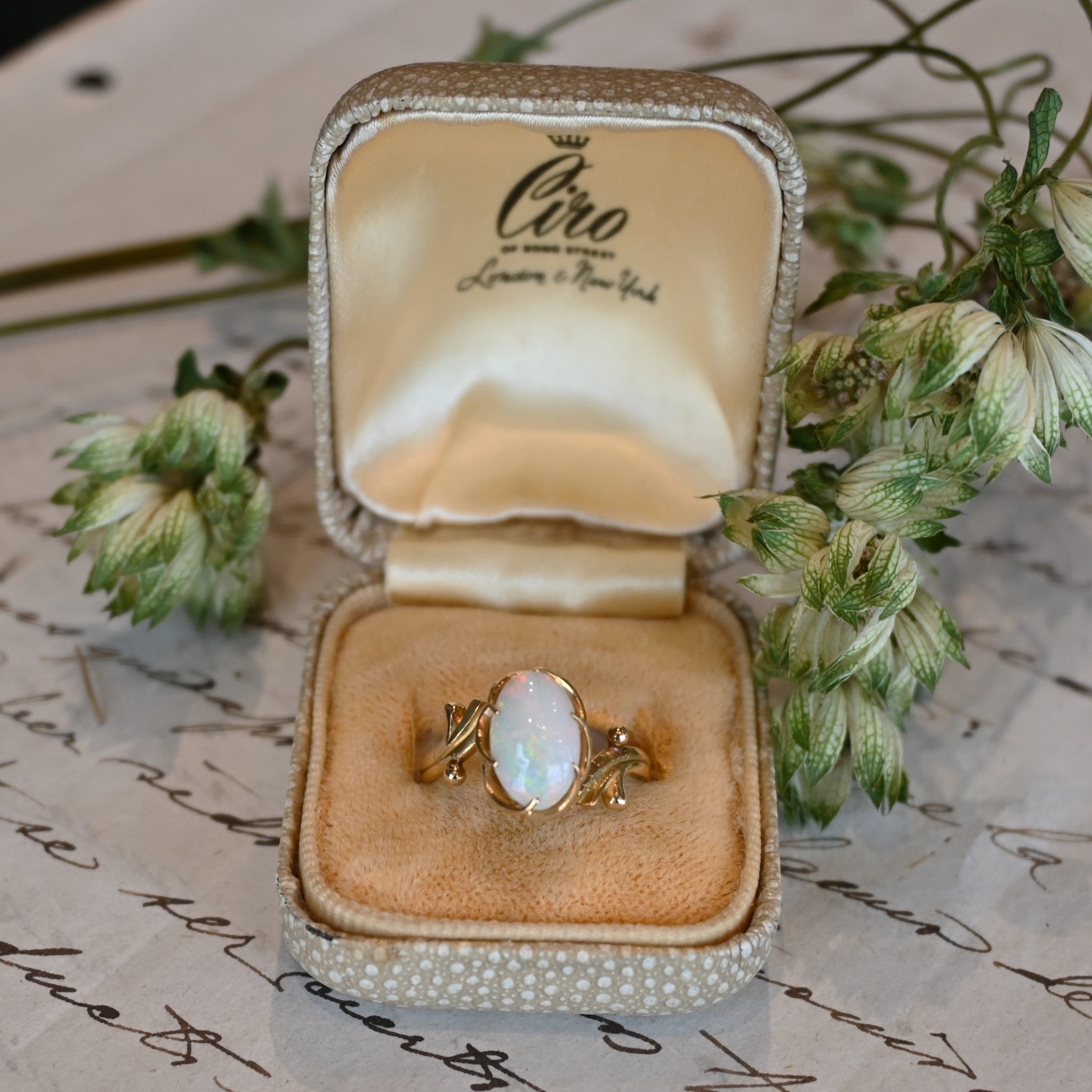 DSC_6908.jpg?v=1696566267