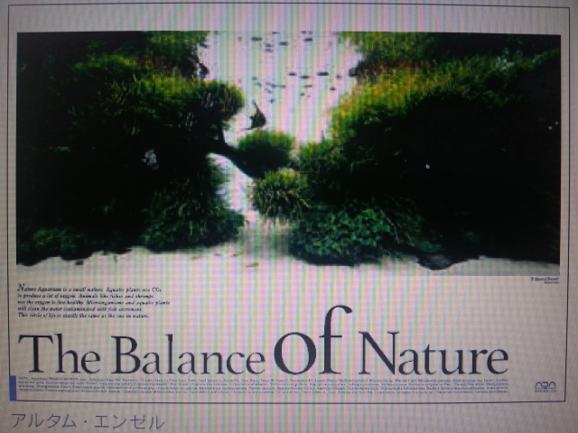 ADA・Balance of Nature ポスター A1（H594×W841mm) - 1992年創業