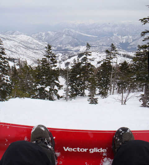 Vectorglide GENIUS 168 - 土と雪と: