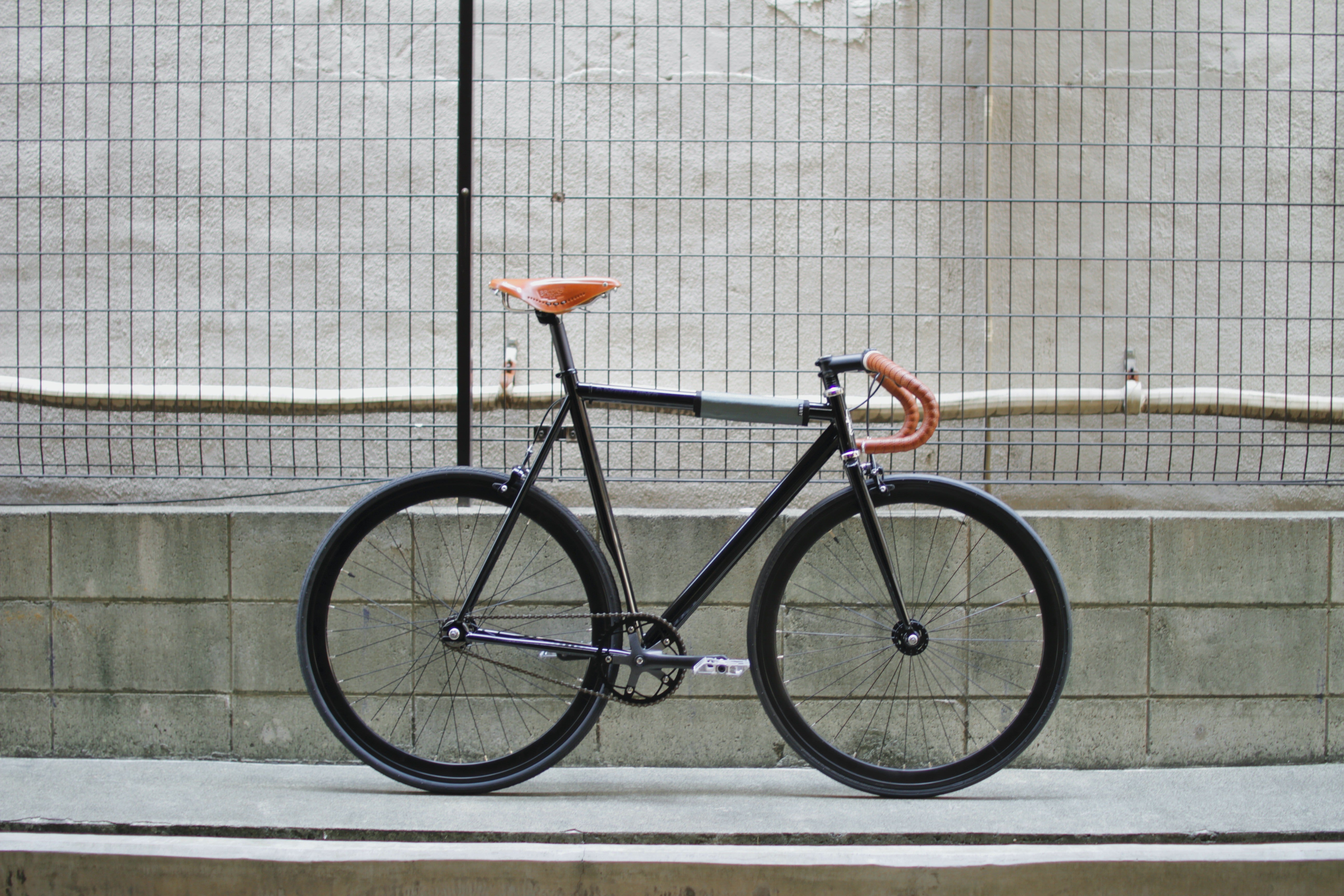 MG_4379.jpg?v=1689160442