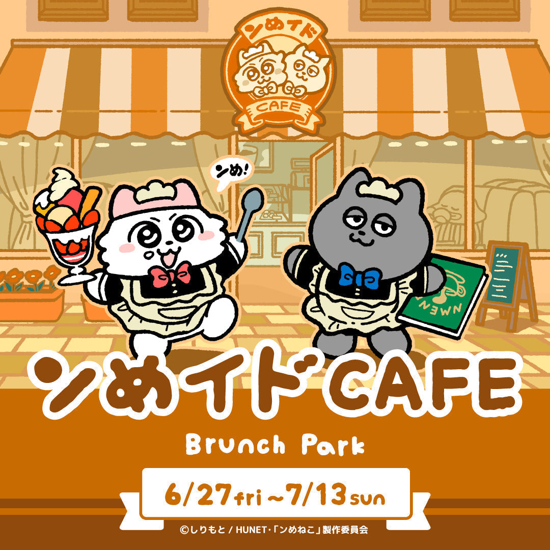 IMG_1855_1cc81747-29f5-4915-