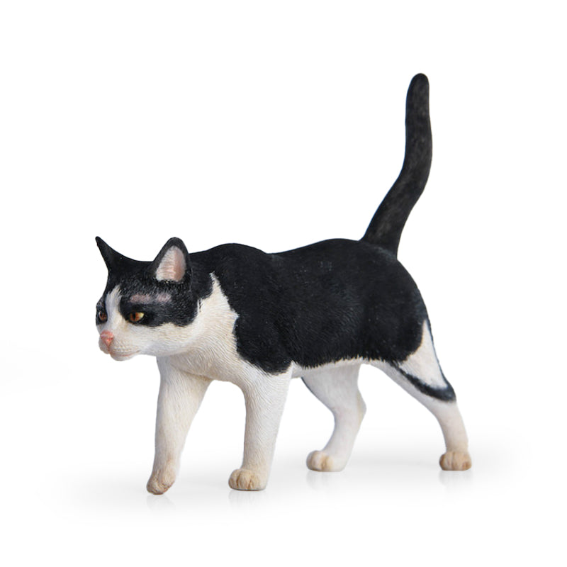 ねこねこねこ 0308 ねこねこねこ 0308 ねこねこねこ ねこねこねこ