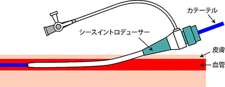 東京慈恵会医科大学葛飾医療センター 循環器内科｜区民の皆様・患者様