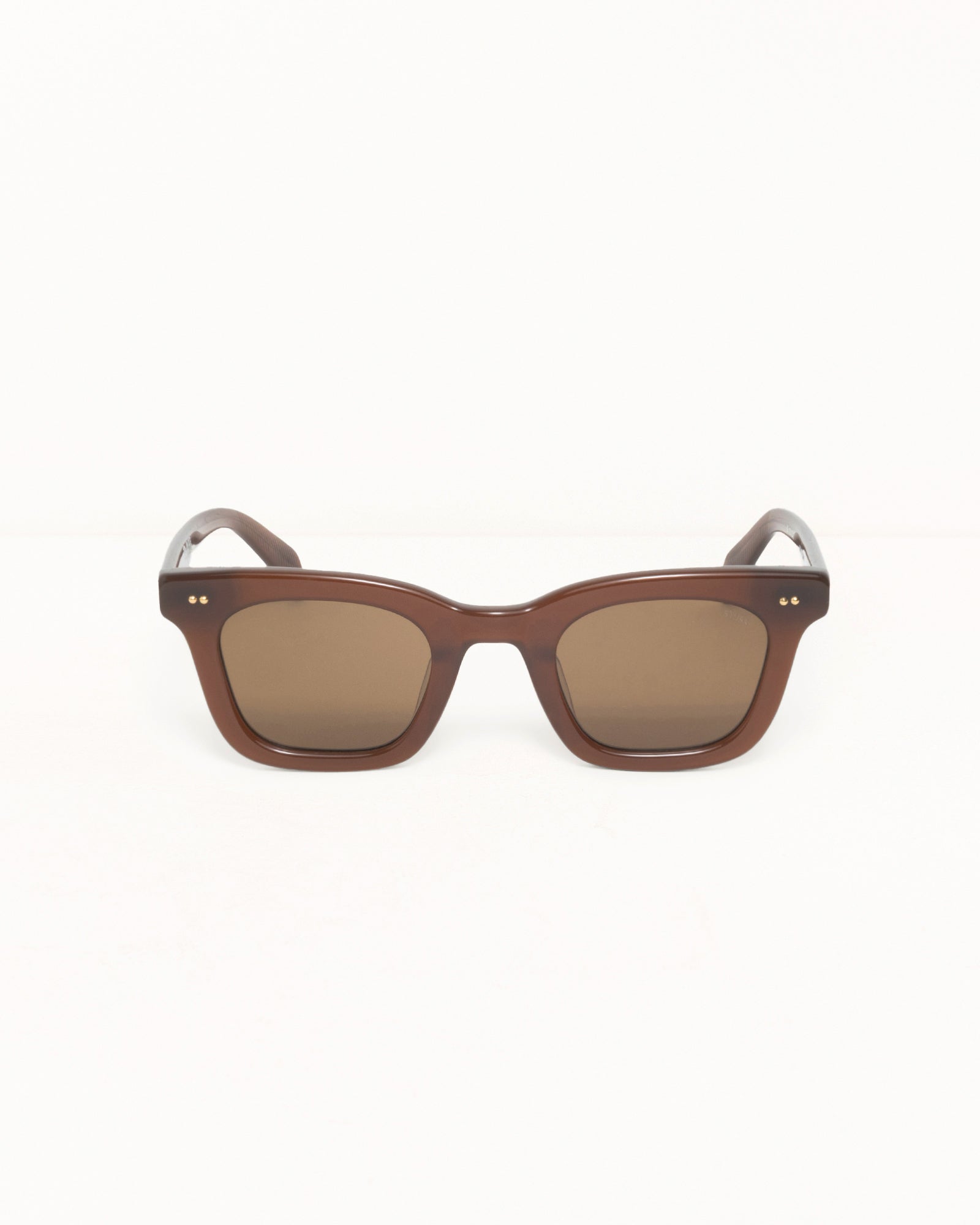 Ace Sunglasses – Dark Brown/Brown Lens | All Accessories | Stüssy