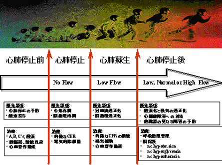 JSPICC - 日本小児集中治療研究会 | PALS 小児二次救命処置法 (AHA
