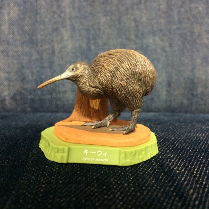 日本でニュージーランドの国鳥キーウィが見られるのはご存知ですか