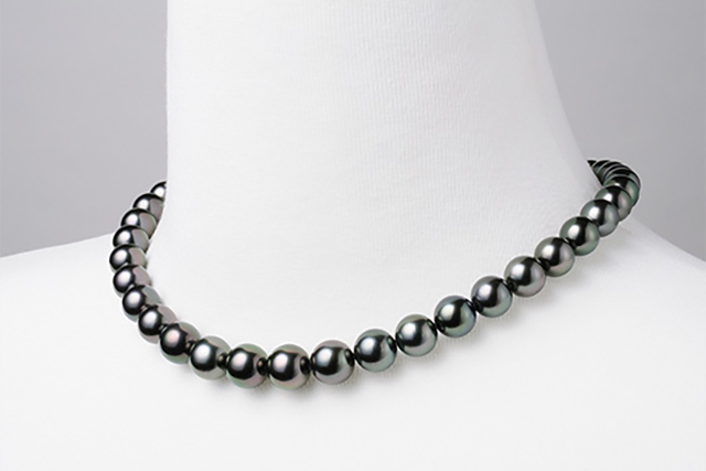京都で出会うオーロララグーン黒蝶真珠の魅力 | 京都の宝飾卸 光栄
