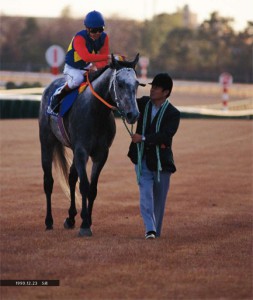 内藤律子写真集『白の時間 —名馬オグリキャップ・引退後二十年の日々