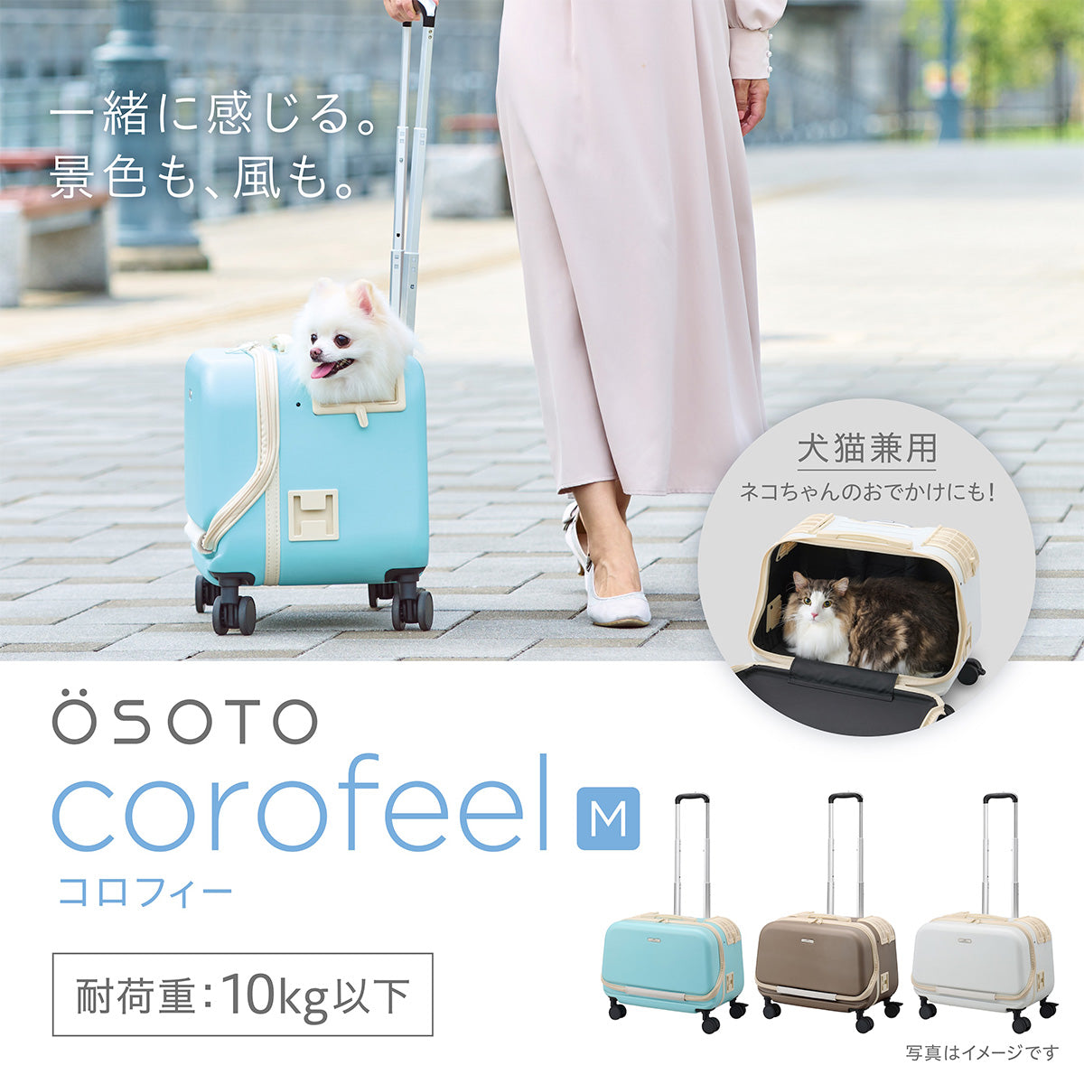 OSOTO コロフィー M アクア/モカ/ミルク | OSOTO（オソト）公式