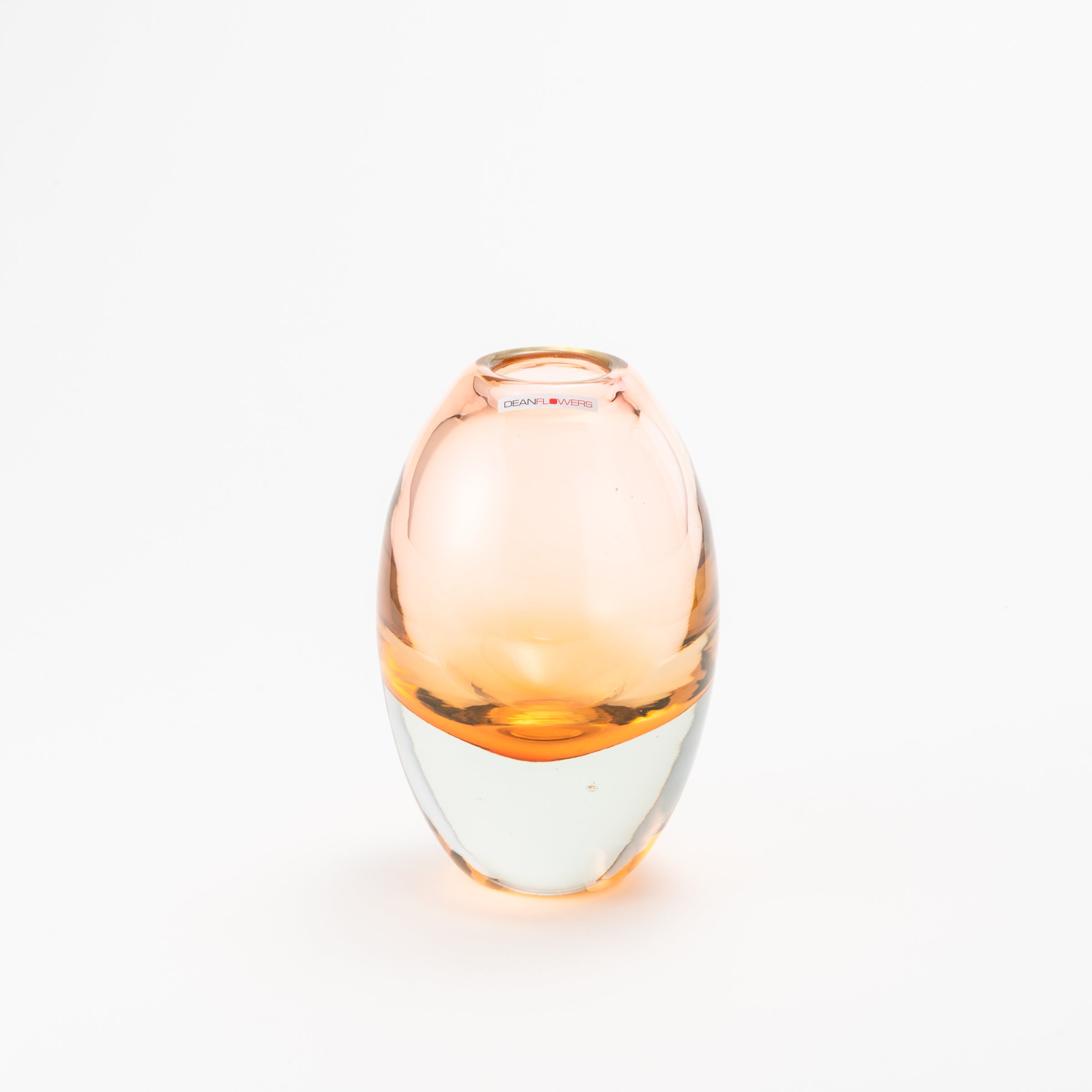 Jerzy L ライトローズ