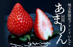 岩槻いちごファームNakaiwa いちごの品種