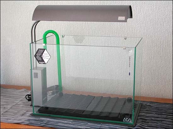 ADA キューブガーデン ミニM 立ち上げ | パンダ横丁