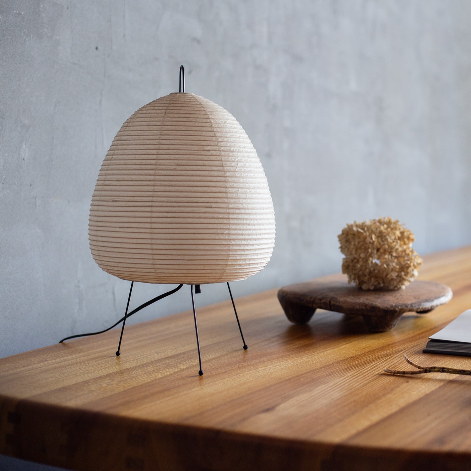 AKARI 1A – CASA DE