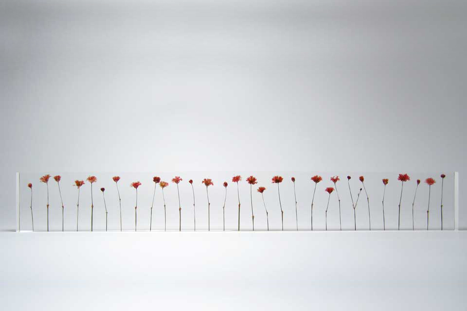 立体・オブジェ f.l.o.w.e.r studio note 立体・オブジェ f.l.o.w.e.r