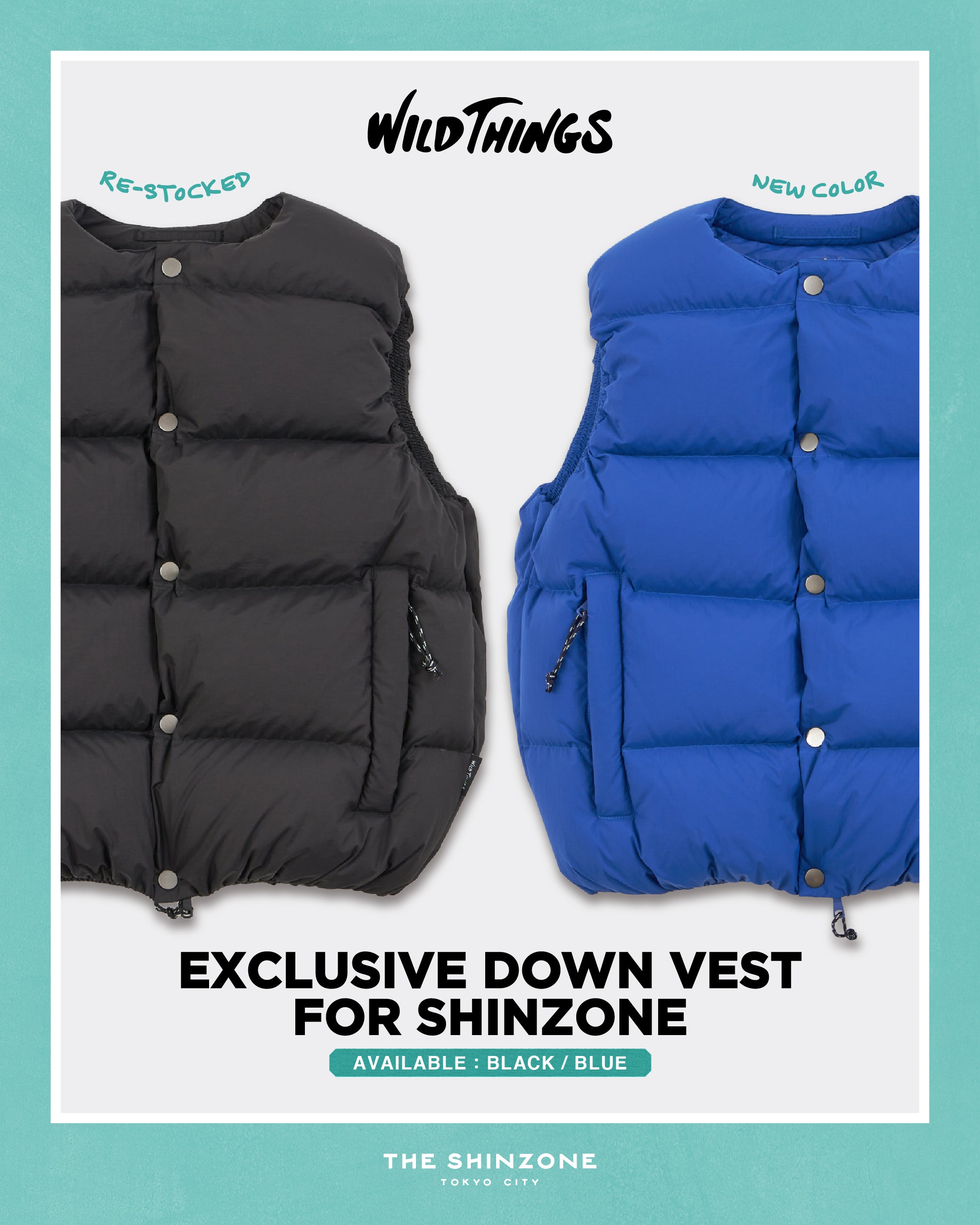 WILD THINGS EXCLUSIVE DOWN VEST – Shinzone