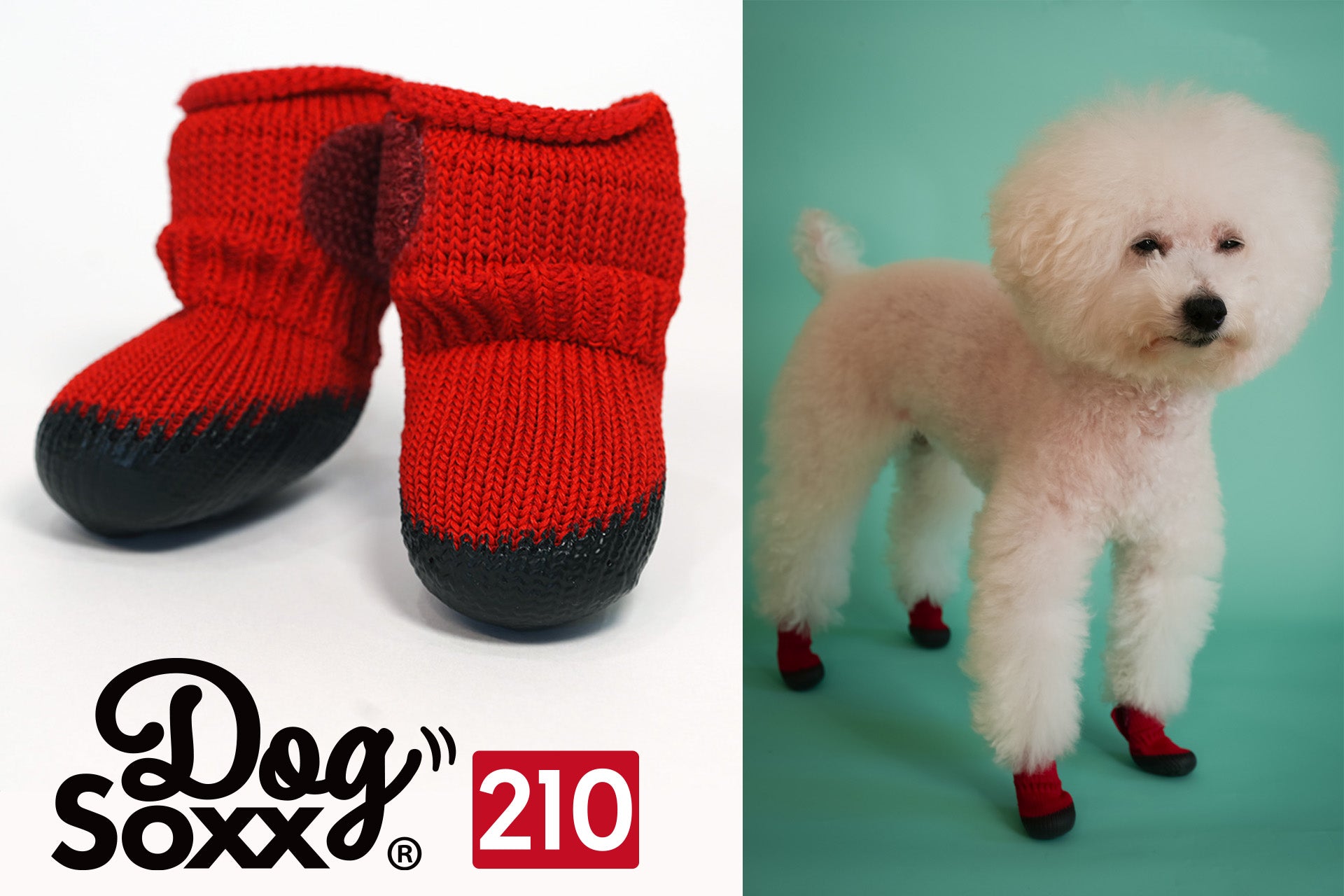 犬の靴屋さんDogSoxxオンラインショップ