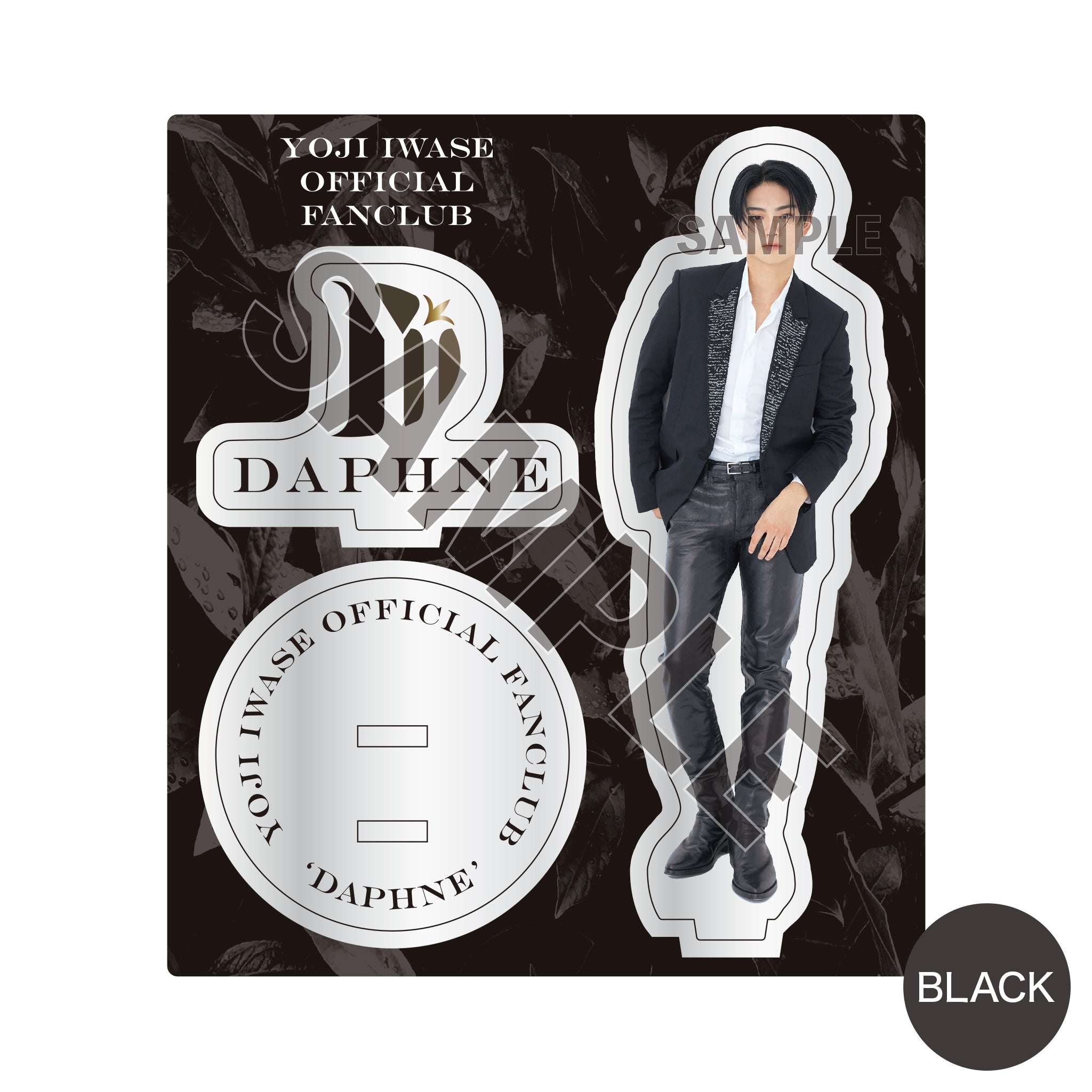 bk1.jpg?v=1718765754