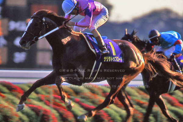 第60回（1999年）菊花賞回顧 渡辺薫彦騎乗・ナリタトップロード – The