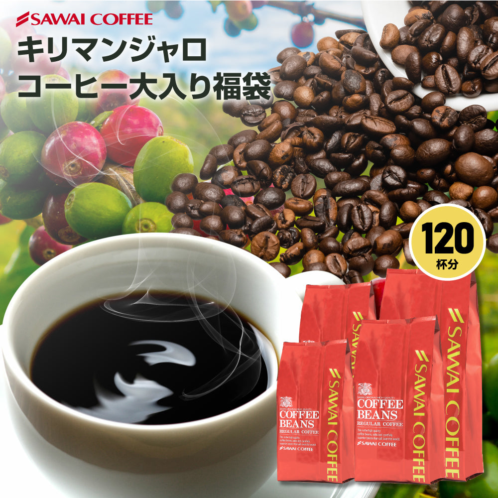 送料無料 コーヒー豆 1.2kg お試し キリマンジャロコーヒー 豆