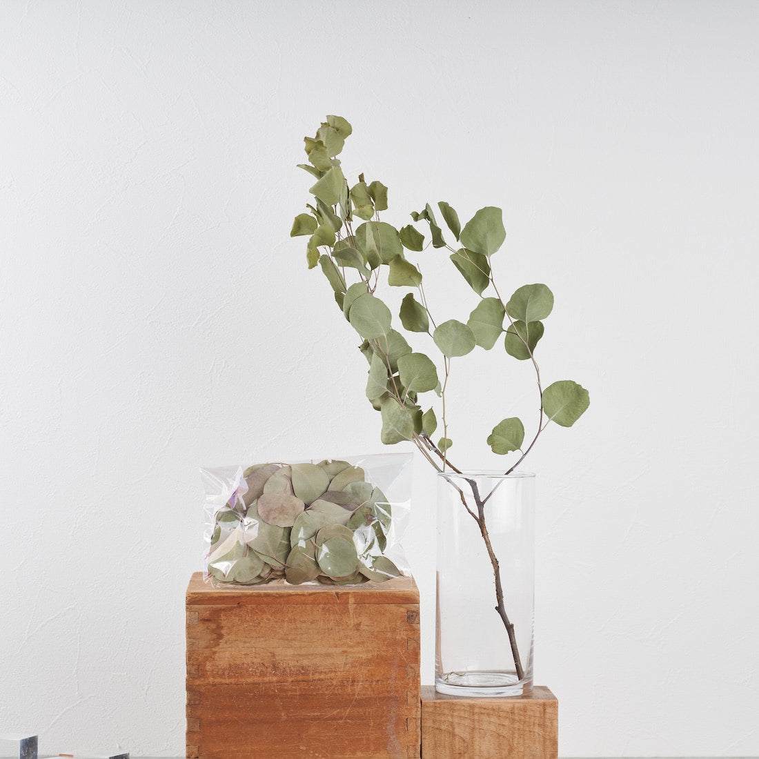 ディスプレイの幅が広がる、ドライボタニカル量り売り（ユーカリポポ