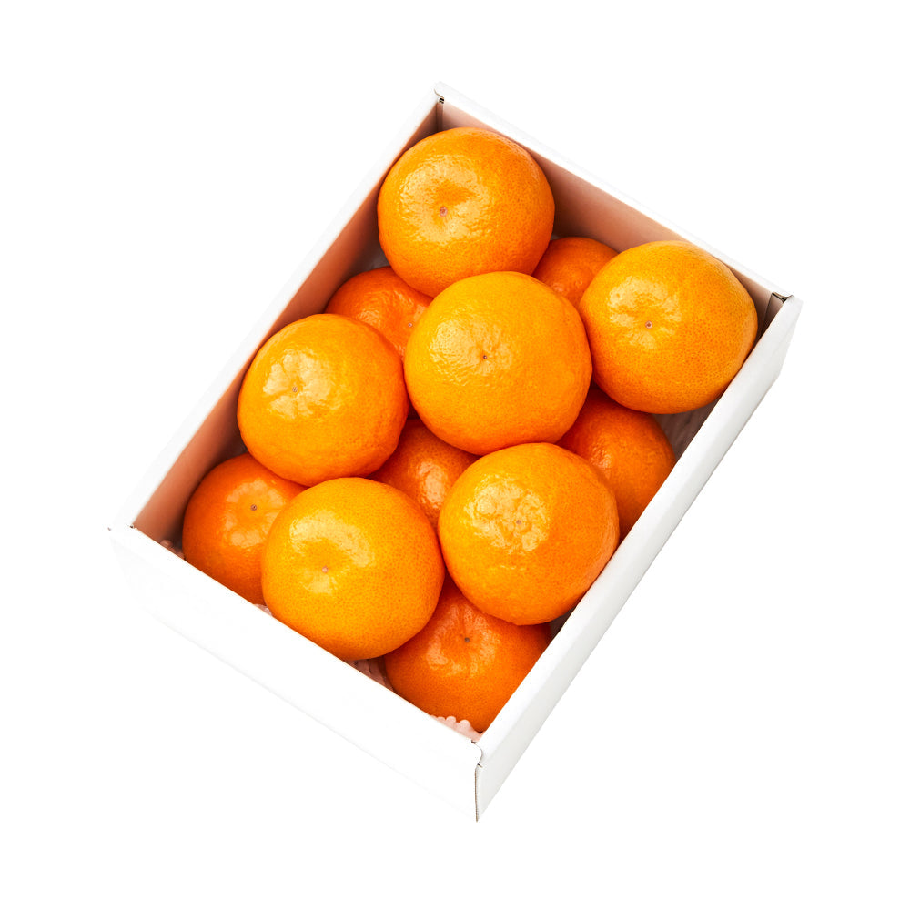 新宿高野 祐徳みかん12入 – 新宿高野オンラインショップ