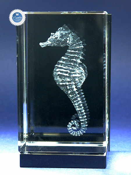 SWAROVSKI スワロフスキー タツノオトシゴ ブローチ クリスタル