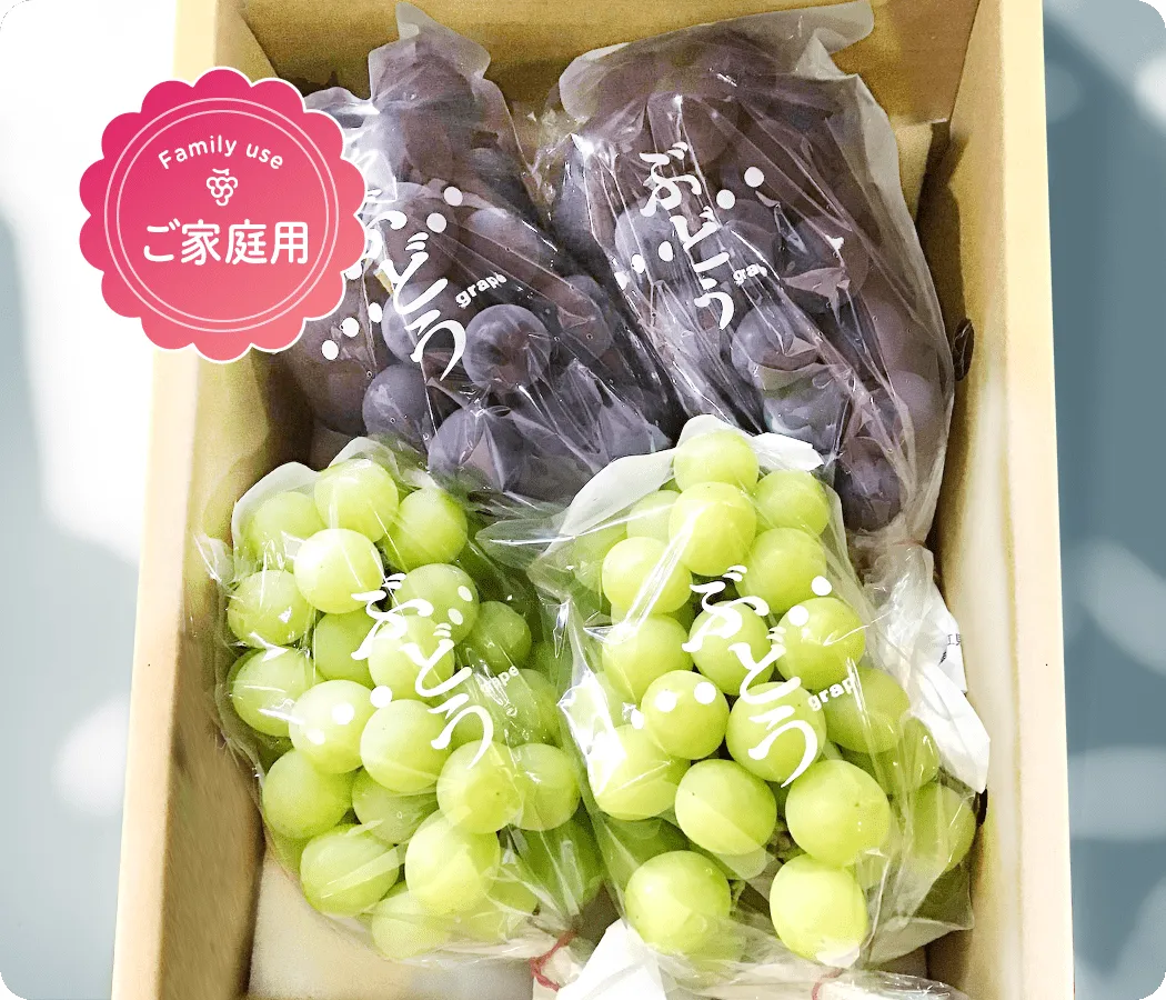 山梨県産】ぶどう2色詰め合わせ（ご家庭用）｜ヴァンファーム公式