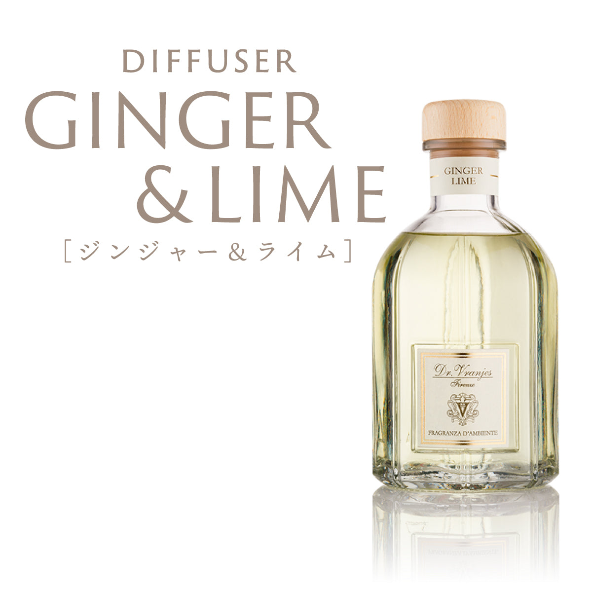 ポイント10倍】正規代理店 ドットール・ヴラニエス GINGER ＆ LIME