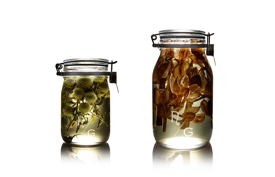 NEPENTHES「N/G」SEALED BOTTLE PLANTS | RINTARO ISHIGE OFFICIAL WEBSITE