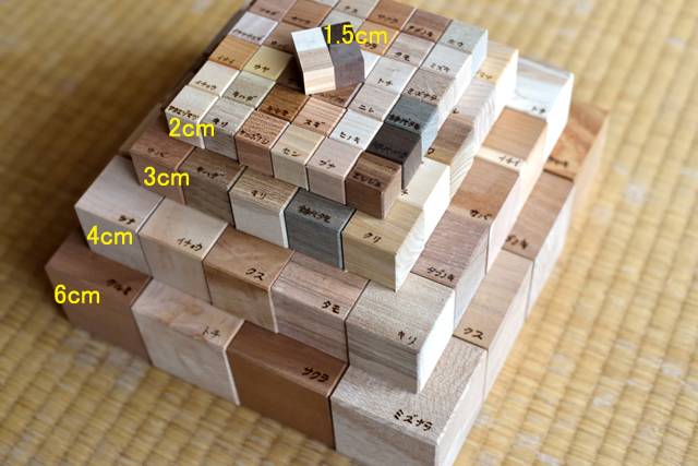 木の見本・樹種サンプル
