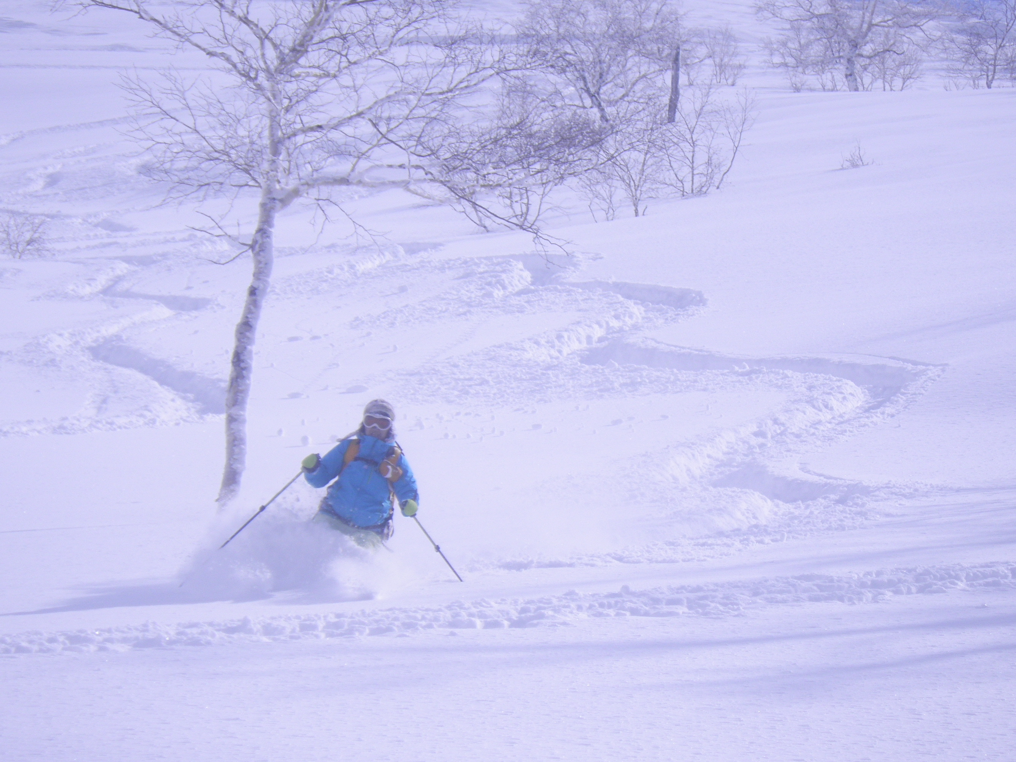 十勝連峰バックカントリーツアー 三段山/十勝岳 テレマーク・山スキー