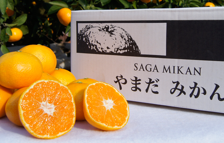 やまだみかん(太良みかん)5kg | やまだ(山田)果樹園|佐賀県,太良