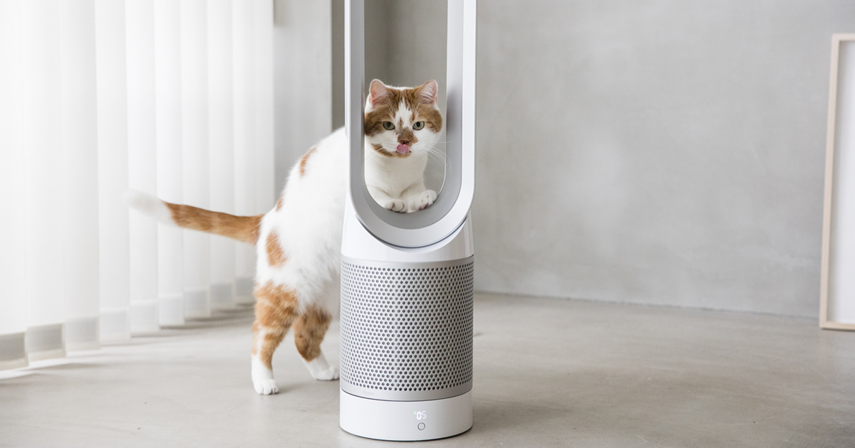 猫ちゃん Dyson ダイソンPure Cool 空気清浄機能付き扇風機 安全で清潔