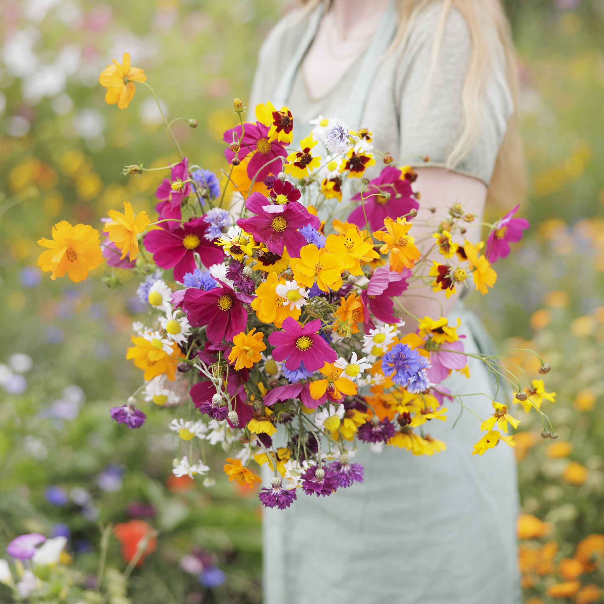 Bulk Midwest Wildflower Seed Mix | Bulk Wildflowers