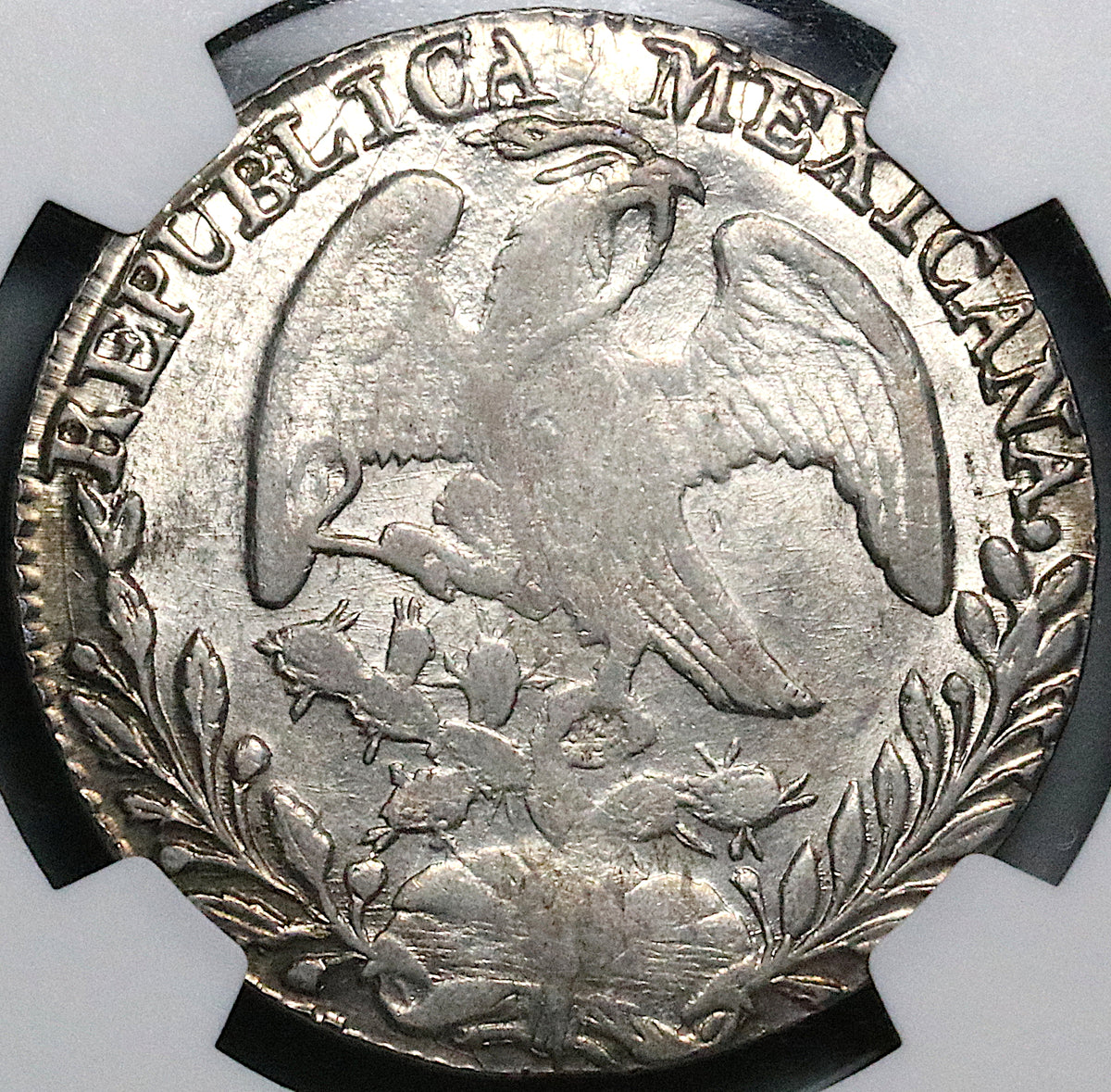 1842/31-Do NGC MS 61 Mexico 8 Reales Durango Mint Rare Overdate