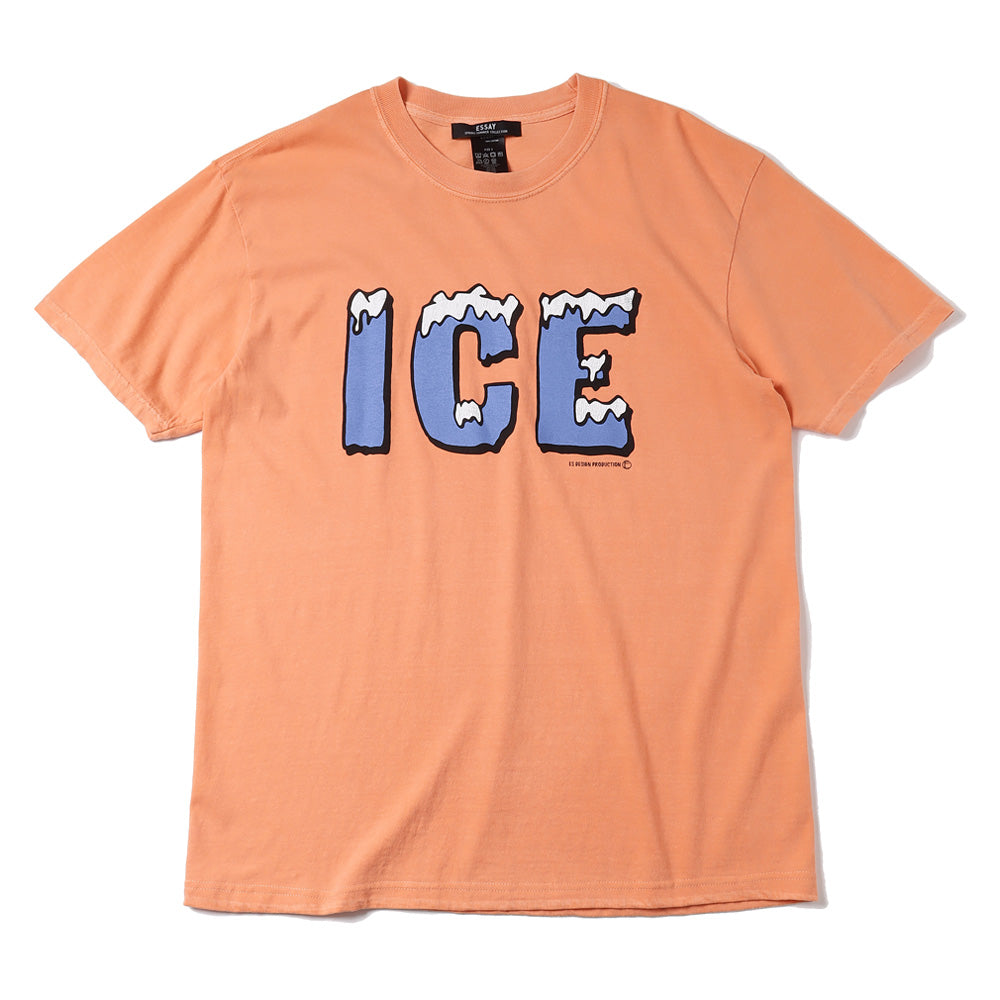 ESSAY(エッセイ)PIGMENT S/S T-SHHIRT (ES18TS-06) | ESSAY