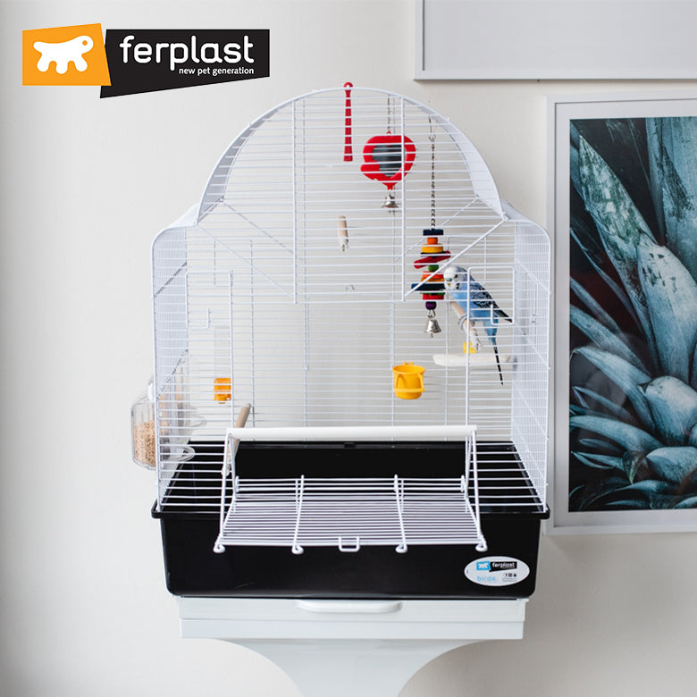 鳥かご イビザ オープン〜Ibiza Open〜 – ファンタジーワールド