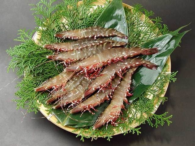 はりかい｜瀬戸内海のシャコ、牡蠣、渡り蟹など旬の天然魚介類の「お